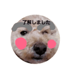 ハロー！プルメリア（個別スタンプ：2）