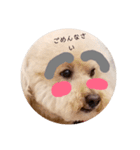 ハロー！プルメリア（個別スタンプ：3）