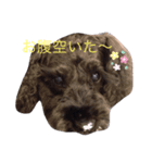 可愛いしゅーちゃん（個別スタンプ：8）