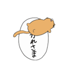 猫が邪魔するスタンプ（個別スタンプ：5）
