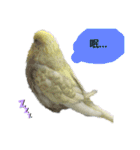 マジ鳥！日常生活で使えるインコたち！！（個別スタンプ：32）