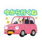 ポメラニアン★むぅ（個別スタンプ：11）