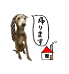 スパンキー☆スタンプ（個別スタンプ：17）