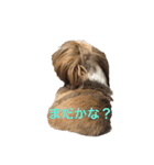 Machi まち（個別スタンプ：10）