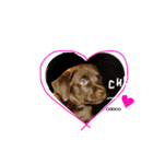 THE✨CHOCO✨1（個別スタンプ：5）