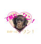 THE✨CHOCO✨1（個別スタンプ：7）