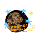 THE✨CHOCO✨1（個別スタンプ：8）