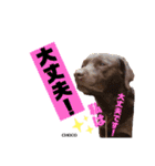 THE✨CHOCO✨1（個別スタンプ：12）