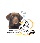 THE✨CHOCO✨1（個別スタンプ：13）