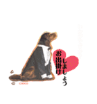 THE✨CHOCO✨1（個別スタンプ：21）