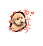 THE✨CHOCO✨1（個別スタンプ：32）
