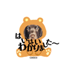 THE✨CHOCO✨1（個別スタンプ：34）