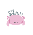 かにちゃんかっぷるスタンプ（個別スタンプ：1）