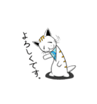 ひょろねこのっぽの日常（個別スタンプ：1）