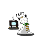 ひょろねこのっぽの日常（個別スタンプ：5）