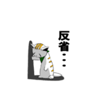 ひょろねこのっぽの日常（個別スタンプ：16）