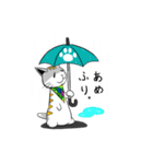 ひょろねこのっぽの日常（個別スタンプ：19）