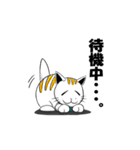 ひょろねこのっぽの日常（個別スタンプ：26）