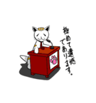 ひょろねこのっぽの日常（個別スタンプ：38）