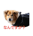 イケメンラックさんの日常（個別スタンプ：6）