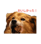 イケメンラックさんの日常（個別スタンプ：15）