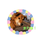 イケメンラックさんの日常（個別スタンプ：19）