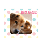 イケメンラックさんの日常（個別スタンプ：21）