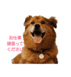 イケメンラックさんの日常（個別スタンプ：24）