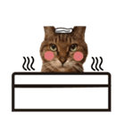 キジトラ猫イベント＆シーンスタンプ（個別スタンプ：16）
