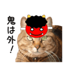 キジトラ猫イベント＆シーンスタンプ（個別スタンプ：21）