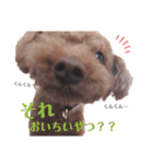 kuusutanpu（個別スタンプ：3）