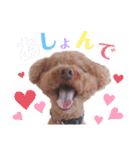 kuusutanpu（個別スタンプ：10）