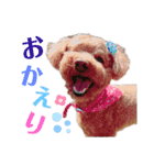 kuusutanpu（個別スタンプ：11）