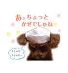 kuusutanpu（個別スタンプ：14）