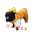 林家のワンコ（個別スタンプ：5）