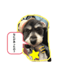 マルックスの日常会話（個別スタンプ：8）