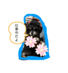 マルックスの日常会話（個別スタンプ：9）