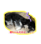 マルックスの日常会話（個別スタンプ：10）