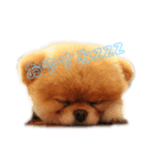 王子とテディー no.1（個別スタンプ：4）