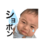 我が家のかわいいこてつ2（個別スタンプ：14）