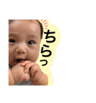 我が家のかわいいこてつ2（個別スタンプ：38）