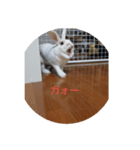 ラッキーさんLucky-san（個別スタンプ：2）
