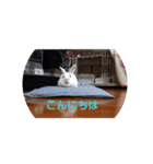 ラッキーさんLucky-san（個別スタンプ：6）