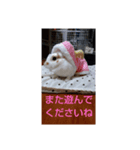 ラッキーさんLucky-san（個別スタンプ：8）