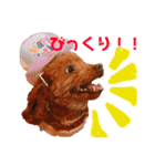 そぼろ  ちょっぴり  こむぎ（個別スタンプ：31）