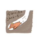 もぐらねこ ＜使いやすい＞（個別スタンプ：20）