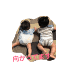 けいごくん①（個別スタンプ：12）