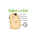 キンクマハムスターみるく日常会話スタンプ（個別スタンプ：35）