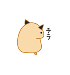 キンクマハムスターみるく日常会話スタンプ（個別スタンプ：40）