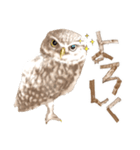 毎日使えるフクロウさんスタンプ（個別スタンプ：4）